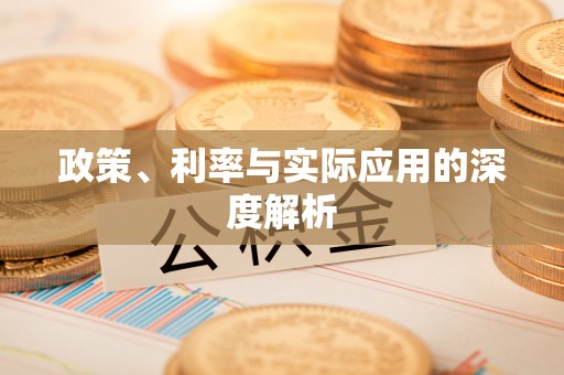 西峡政策、利率与实际应用的深度解析