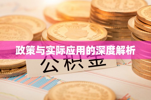 西峡政策与实际应用的深度解析