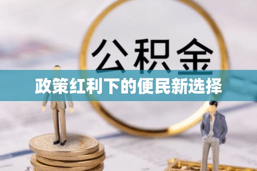 西峡政策红利下的便民新选择