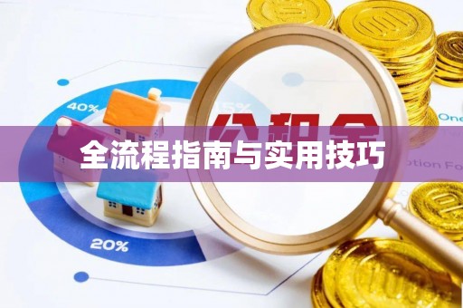 西峡全流程指南与实用技巧