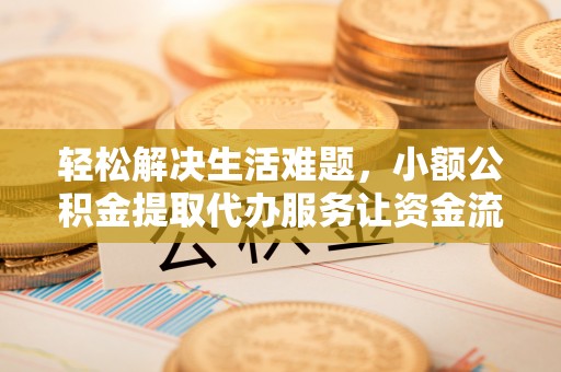 西峡轻松解决生活难题，小额公积金提取代办服务让资金流动更便捷