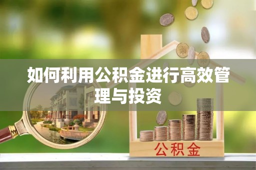 西峡如何利用公积金进行高效管理与投资