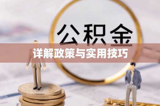 西峡详解政策与实用技巧