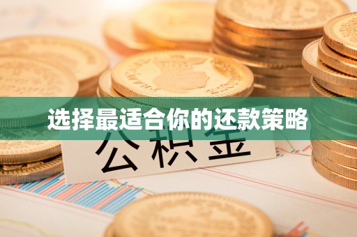 西峡选择最适合你的还款策略