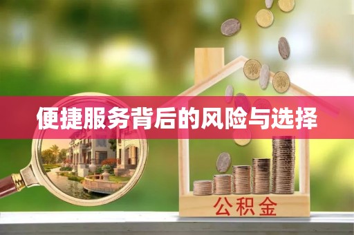 西峡便捷服务背后的风险与选择