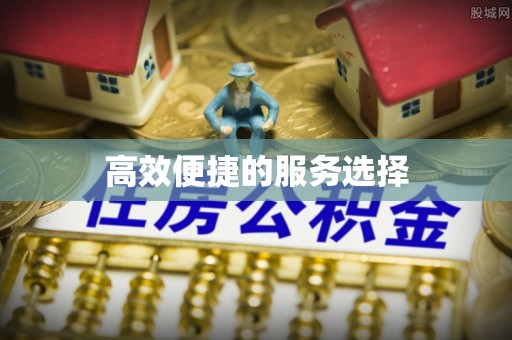 西峡高效便捷的服务选择